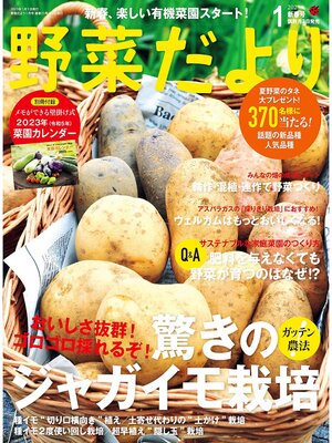 cover image of 野菜だより2023年1月号